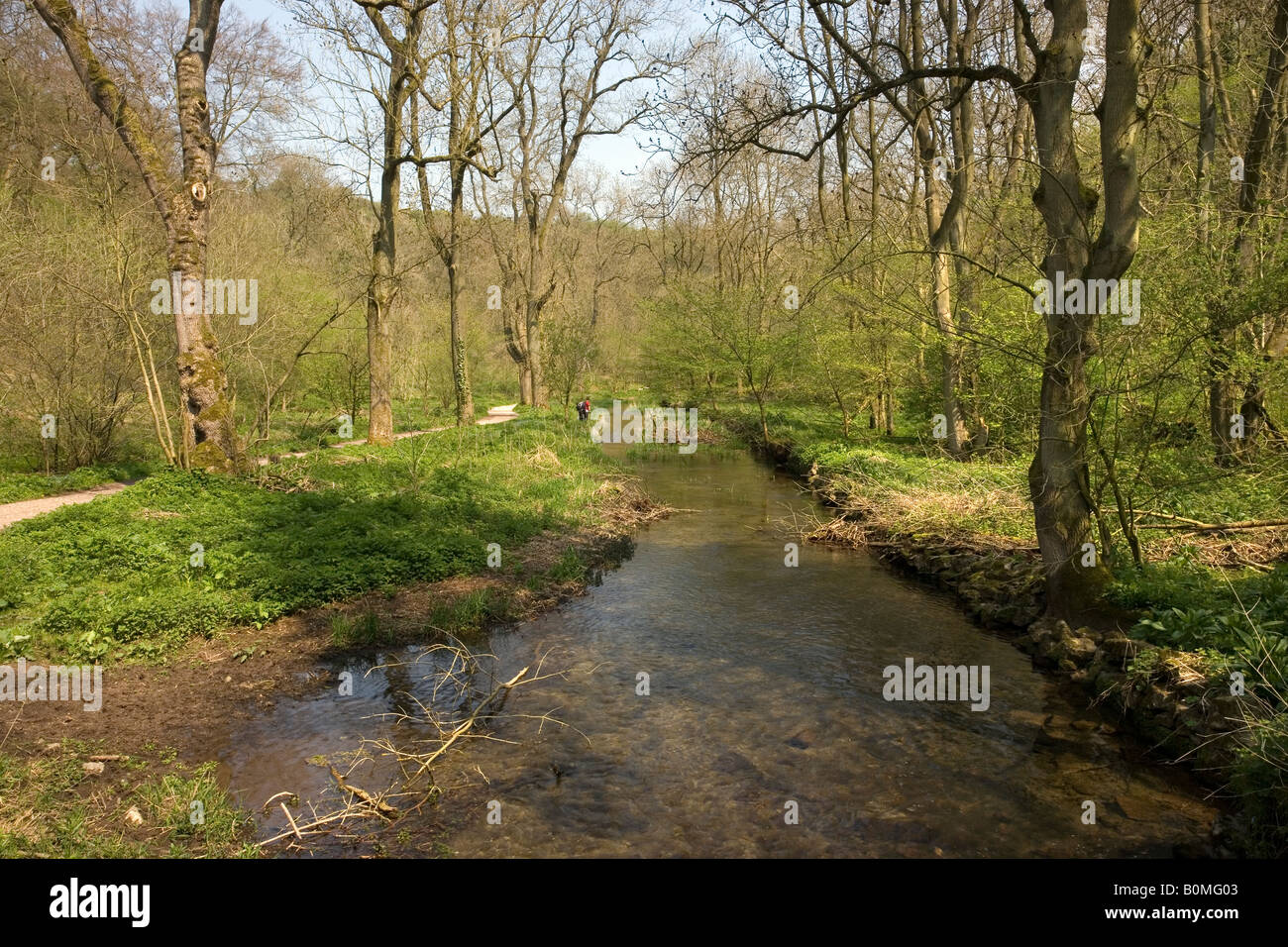 Lathkill Dale, Derbyshire, England Stockfoto