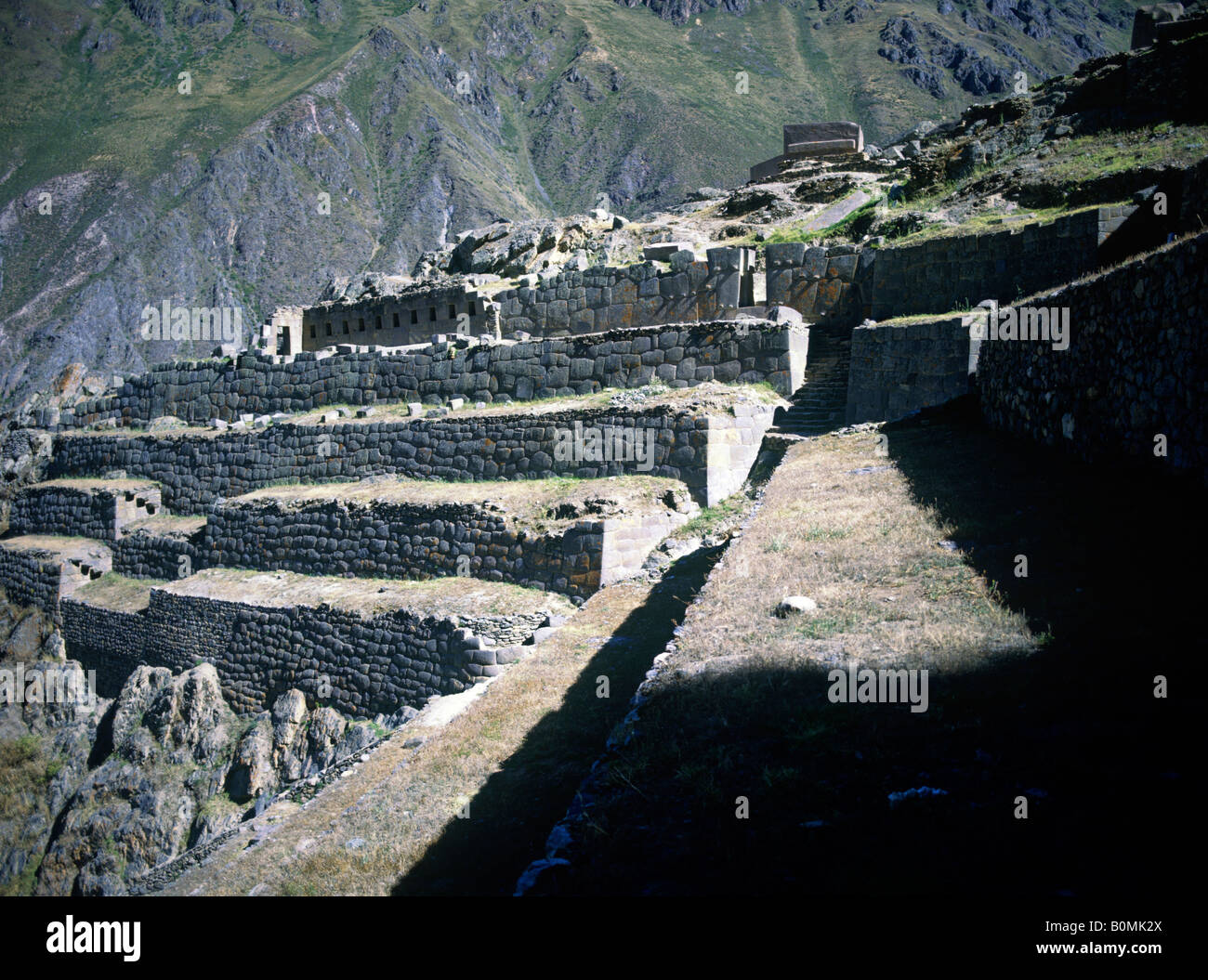 landwirtschaftlichen Terrassen und Steinmauer Burgwall Inka archäologische Stätte von Ollantaytambo peru Stockfoto