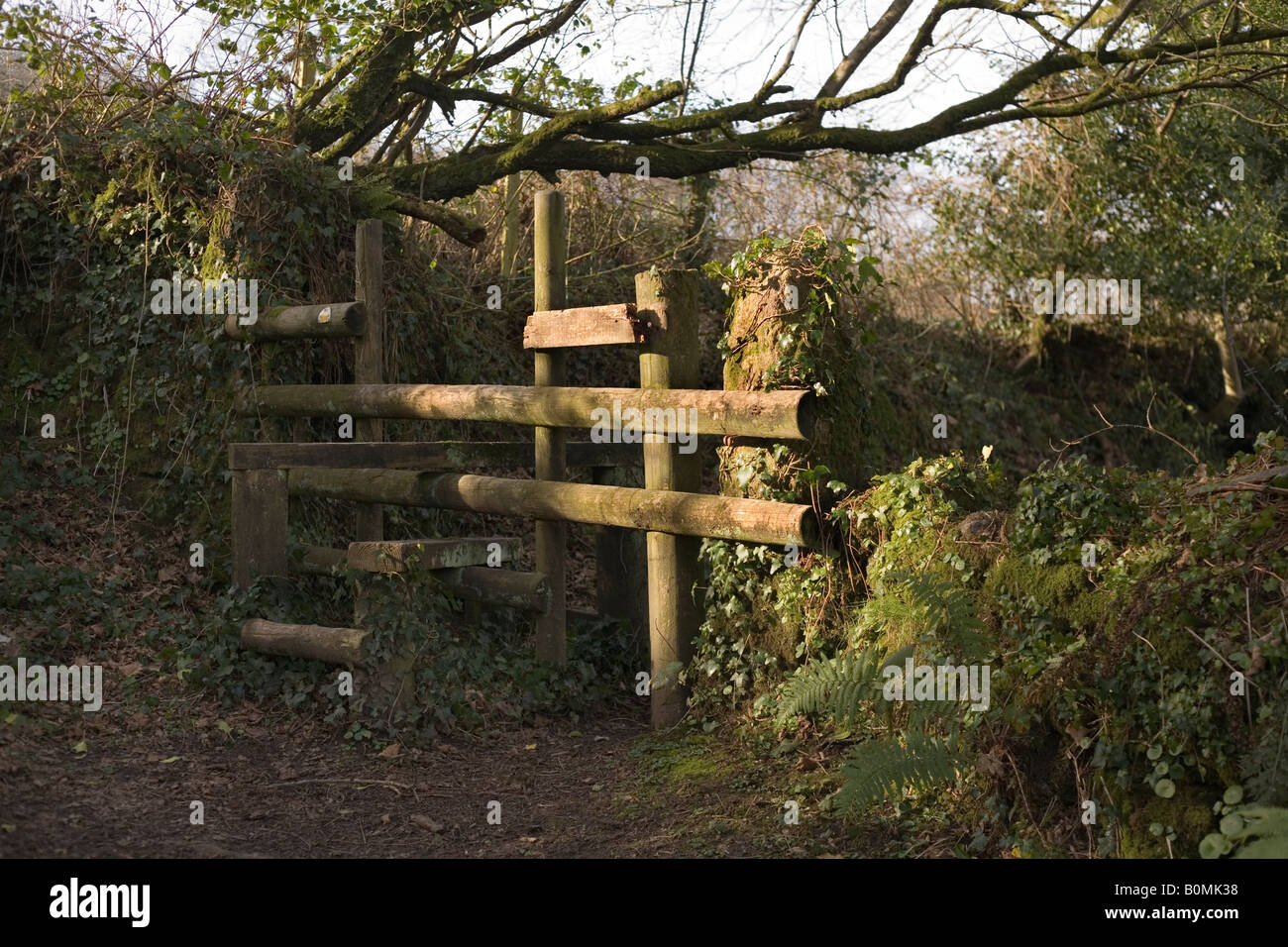 Ein Land-Stil Stockfoto