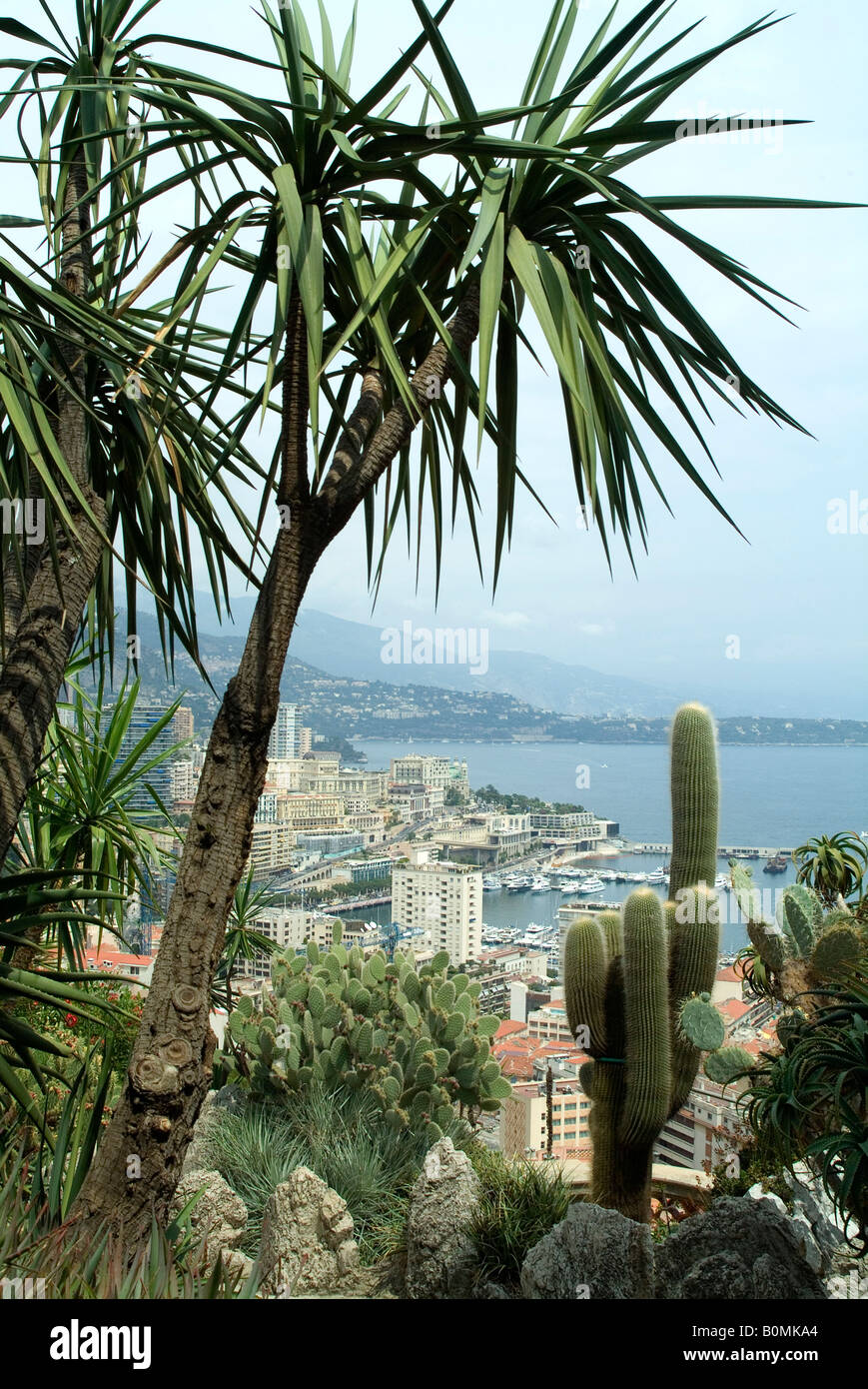 Jardin Exotique in Monaco Bezirk von Monighetti mit Blick auf den Palast in Monaco-Ville. Stockfoto