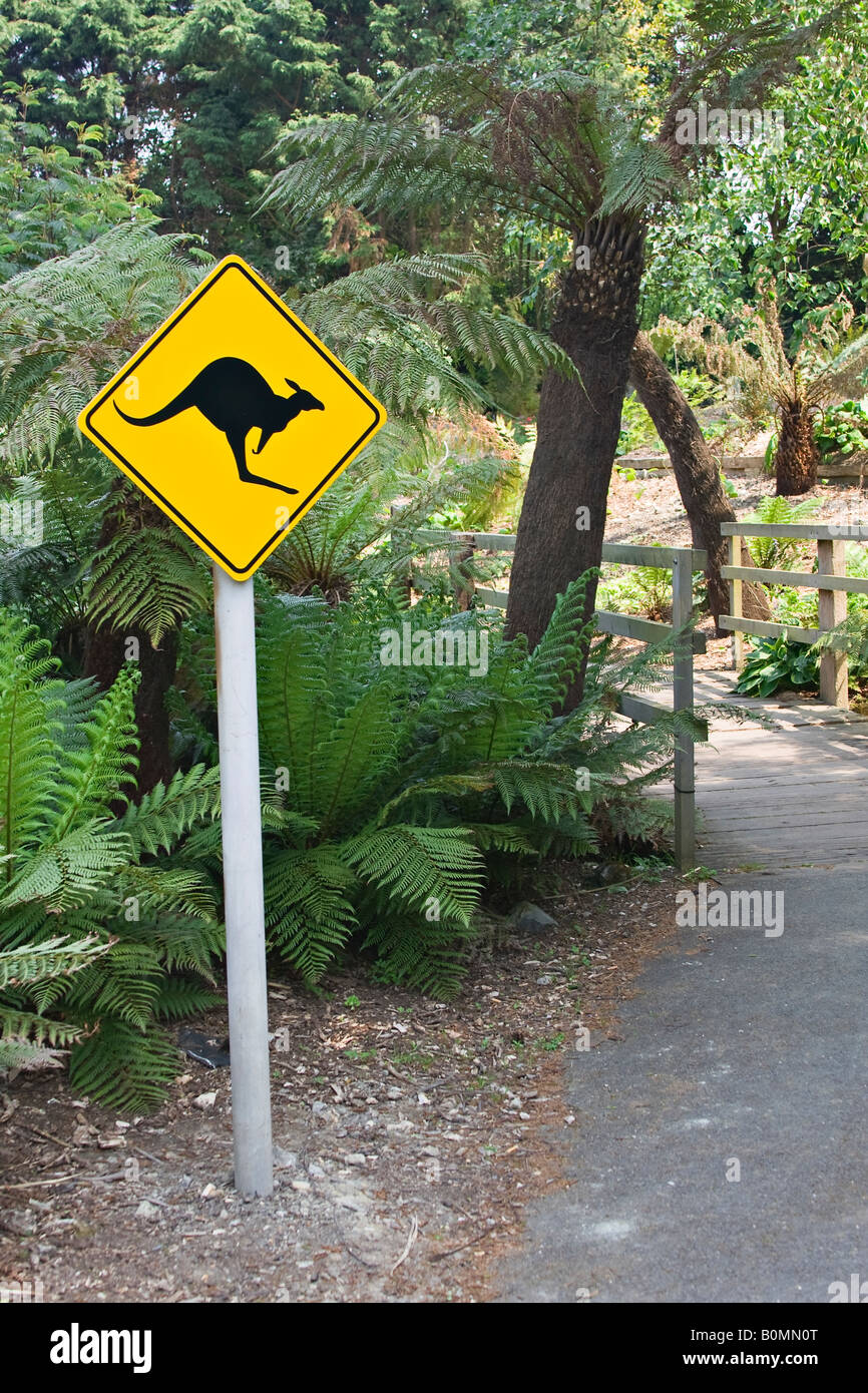 Australisches Schild "Kangaroo Crossing the Road" Stockfoto