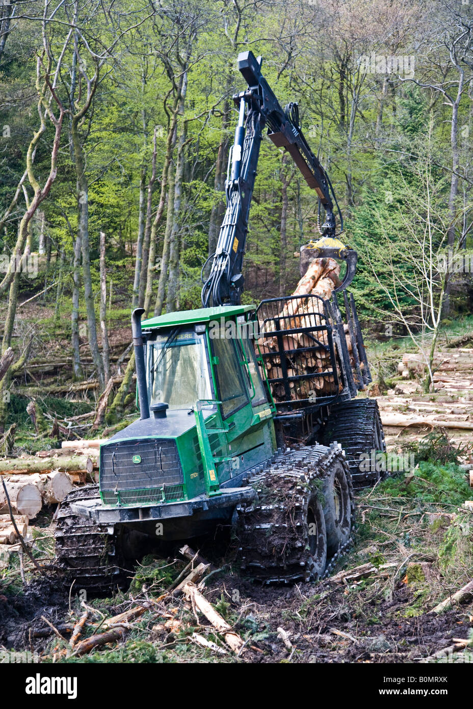 John Deere 1710D Timberjack Forwarder an arbeiten sammeln Protokolle in einem Wald Schottland Stockfoto