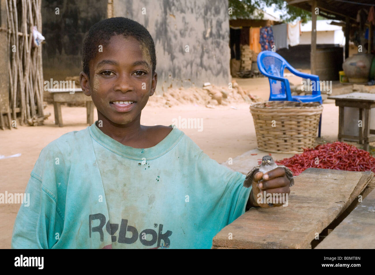 Junge hält einen verletzten Vogel, Kuluedor, Ghana Stockfoto