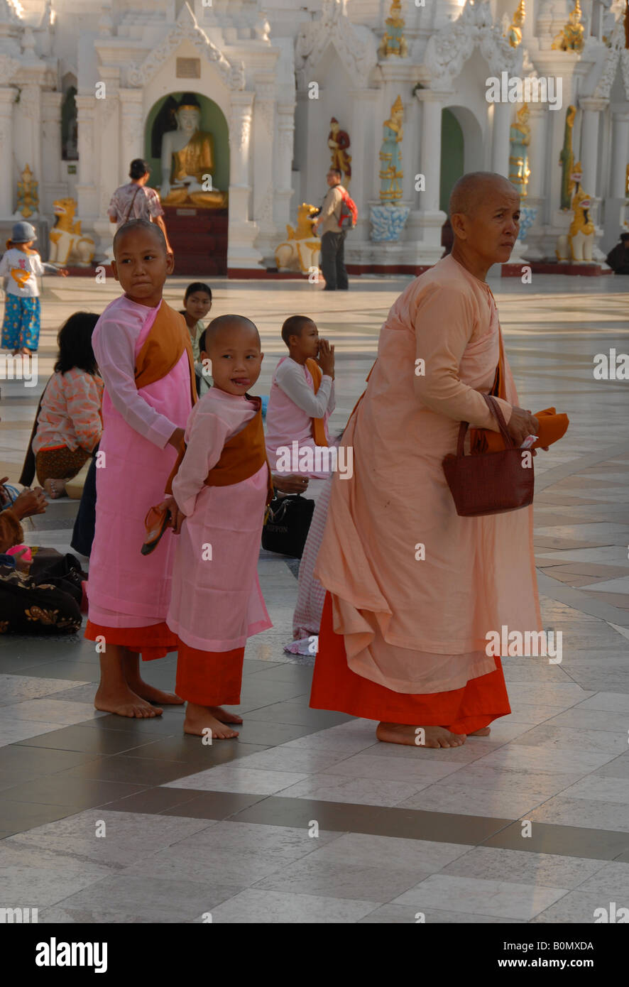 Nonnen zur Shwedagon Pagode, Rangoon, Birma Stockfoto