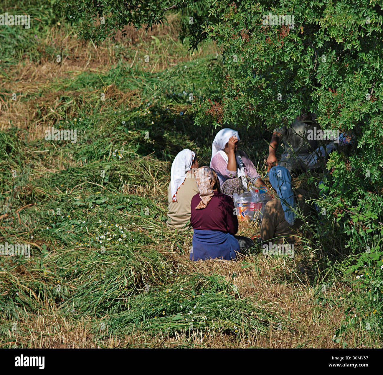 Weibliche Landarbeiter ruhen von Schneiden von Gras für Heu, armutalan Marmaris in der Türkei Stockfoto