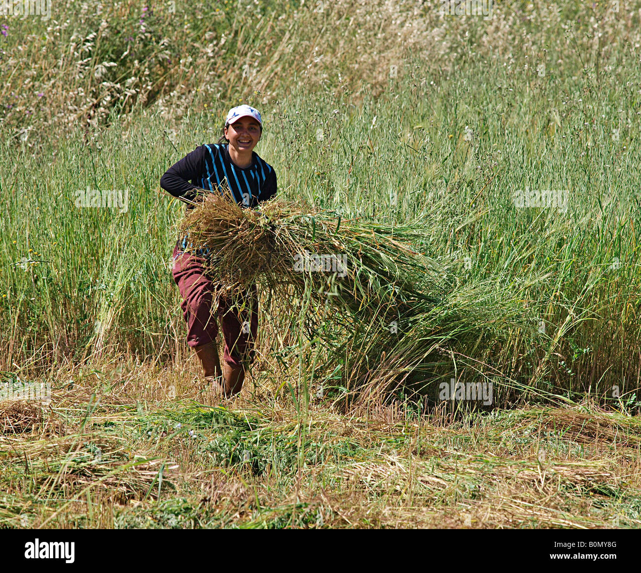 Männliche land Arbeiter Sammeln von geschnittenem Gras für Heu Erntegut von Hand Armutalan, Marmaris in der Türkei Stockfoto
