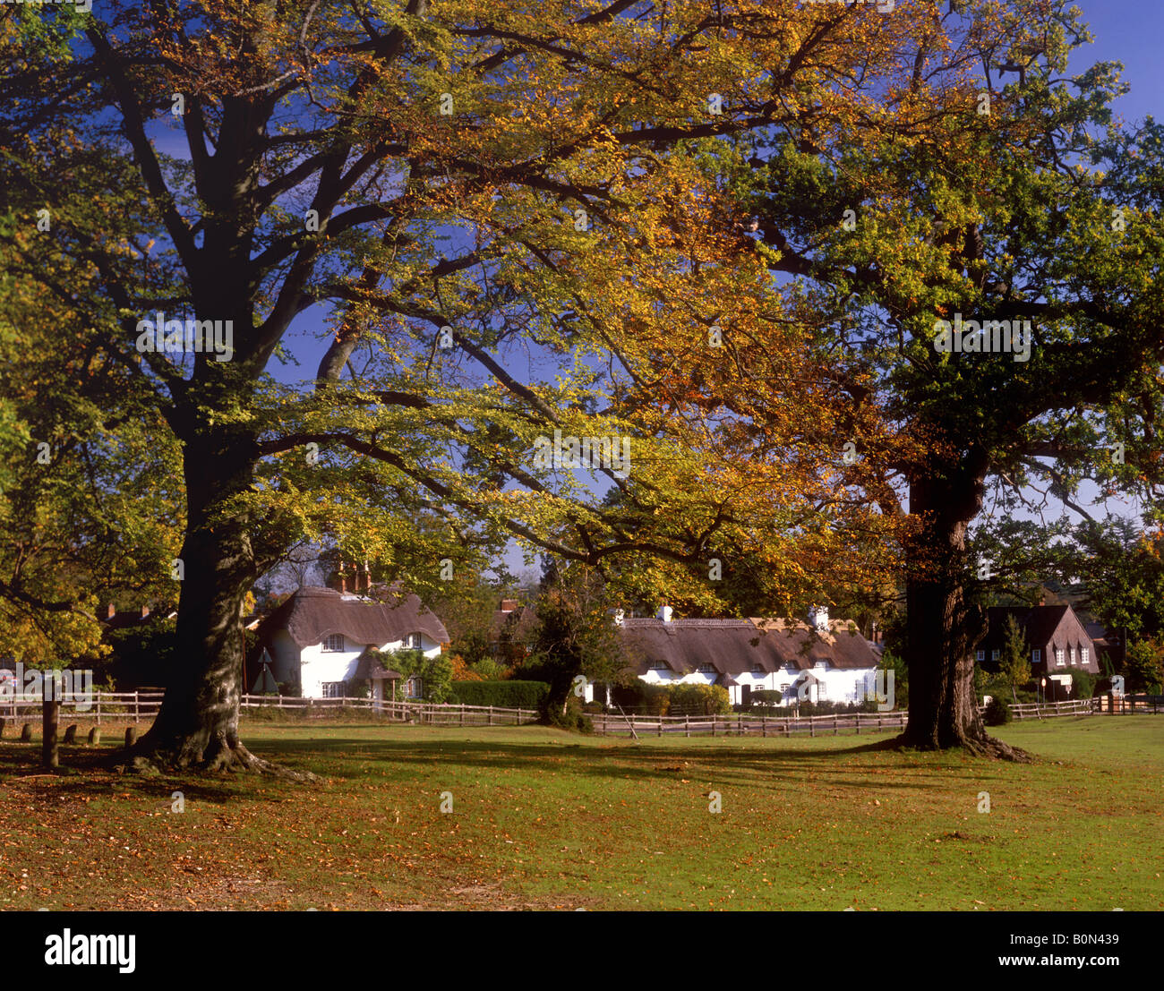 Hampshire - dem malerischen New Forest von Swan Dorfplatz im Herbst in der Nähe von Lyndhurst Stockfoto