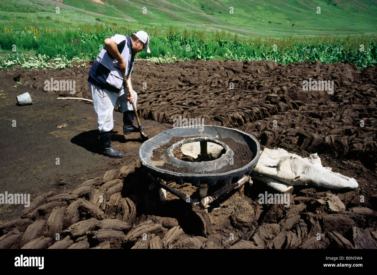 24. Juni 2006 - Nomad schneiden getrockneten Dung zum Heizen Jurten in den kirgisischen Bergen nahe der Stadt Kazarman. Stockfoto