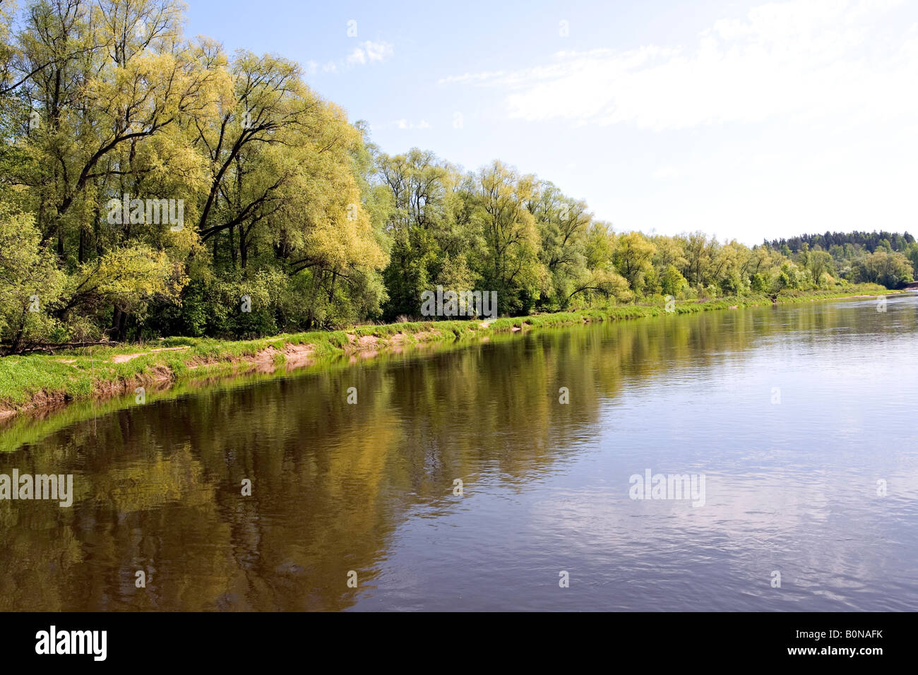 Malerische Gauja Fluss in der Nähe von Turaida im Frühling Gauja-Nationalpark Lettlands Stockfoto