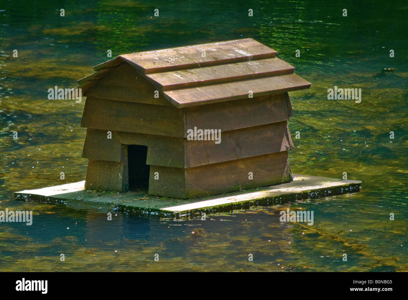 Schwimmendes entenhaus auf dem teich Fotos und Bildmaterial in hoher