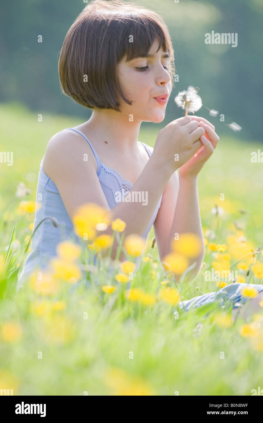 junge weibliche Kind sitzt im Bereich der Butterblumen weht einen Löwenzahn Stockfoto