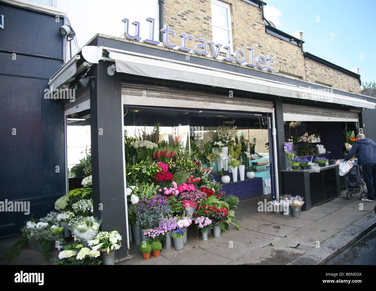 UltraViolet Floristen Northcote Road London Stockfoto