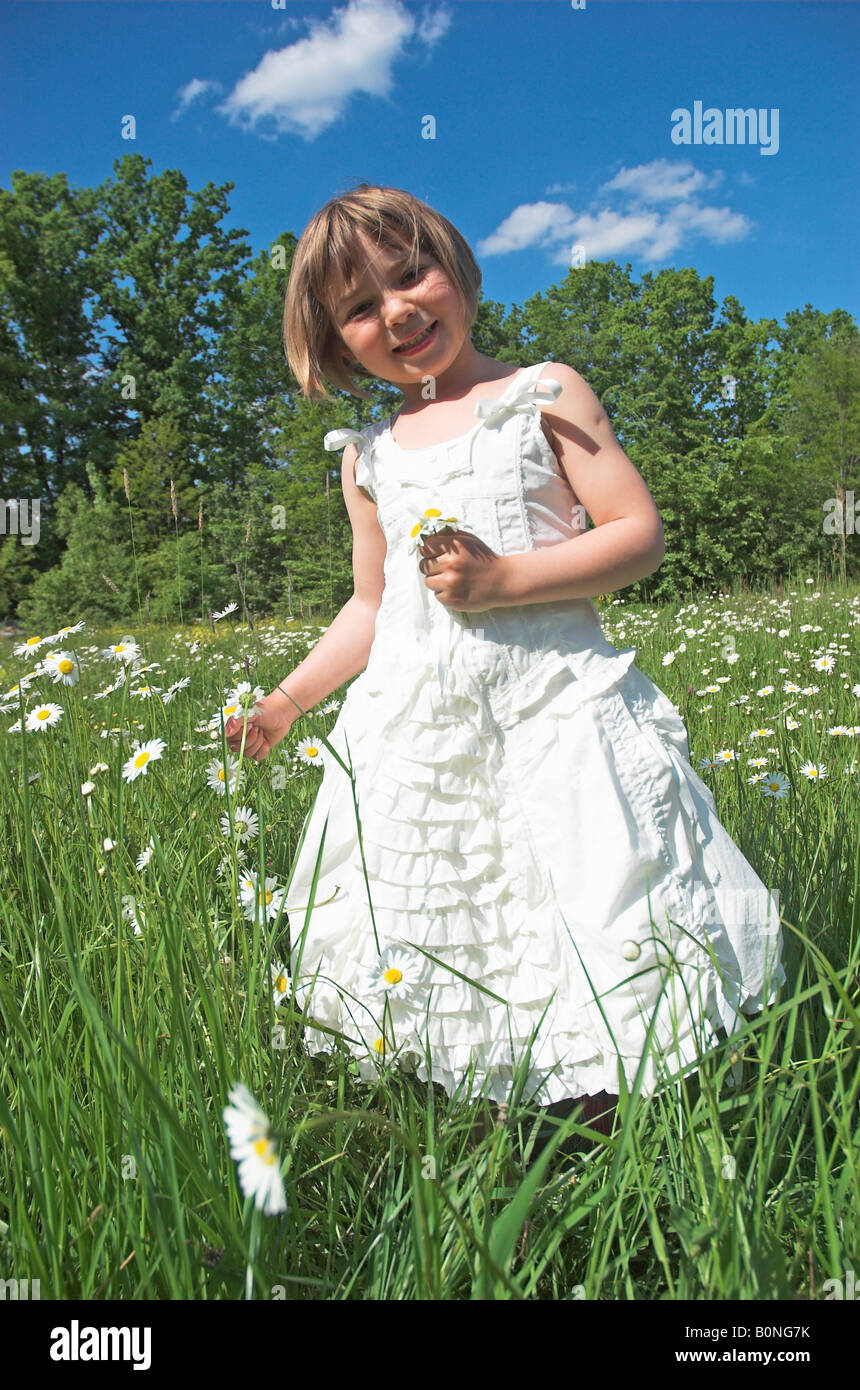 Kleine Mädchen tragen weiße Kleid 3 5 Blumen pflücken Stockfoto