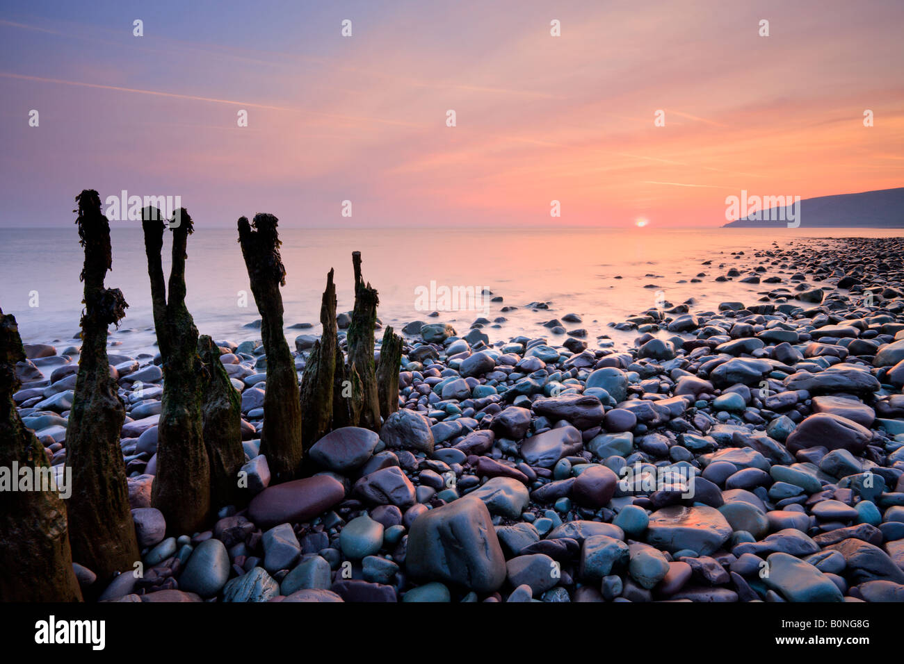 Verwitterte Buhnen am Bossington Strand in der Nähe Porlock Weir Exmoor Somerset England Stockfoto