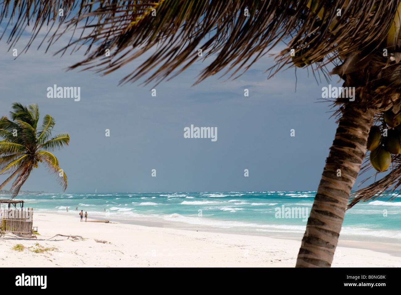 Strand von Tulum Mexiko Stockfoto