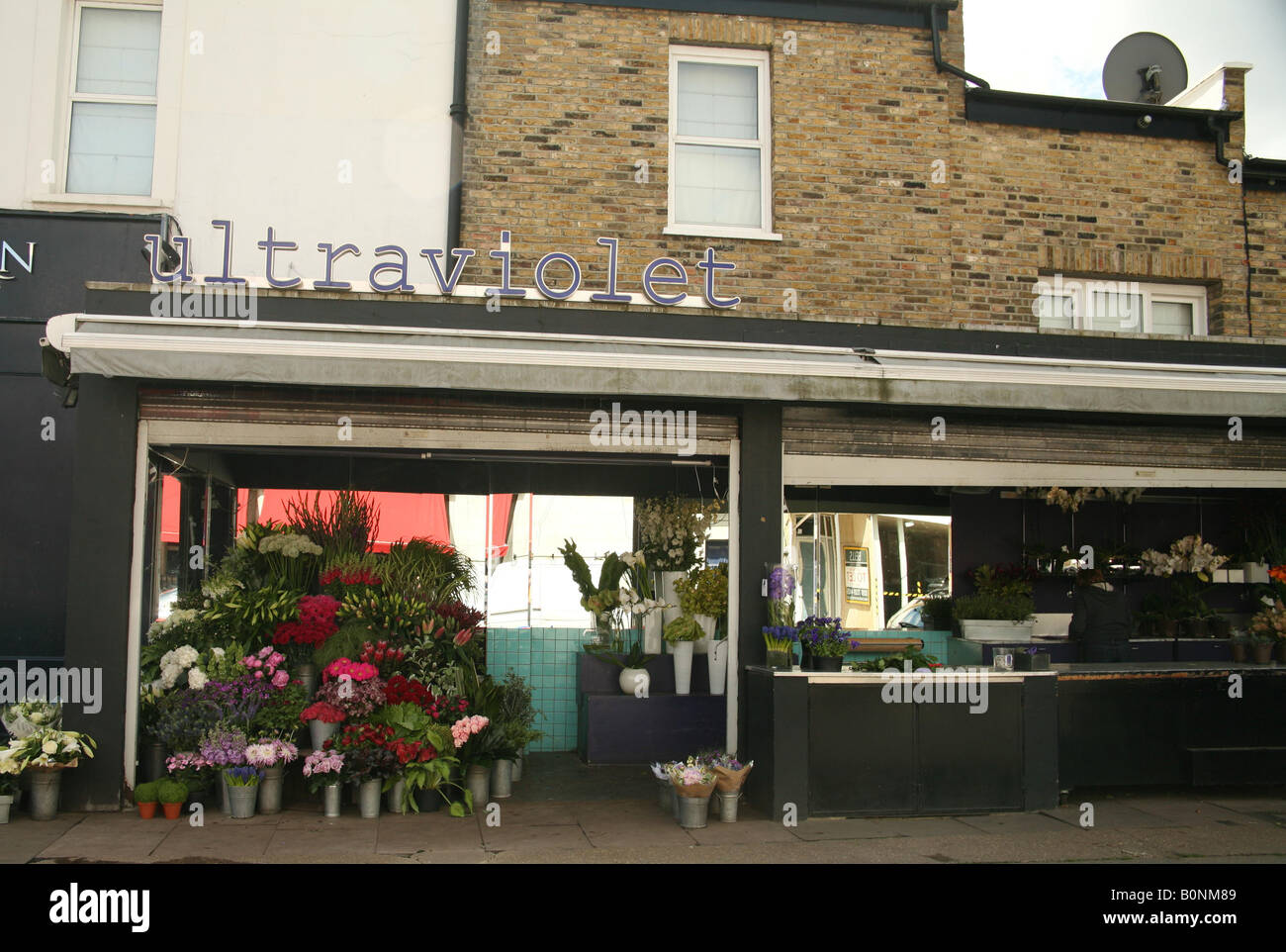 UltraViolet Floristen Northcote Road London Stockfoto