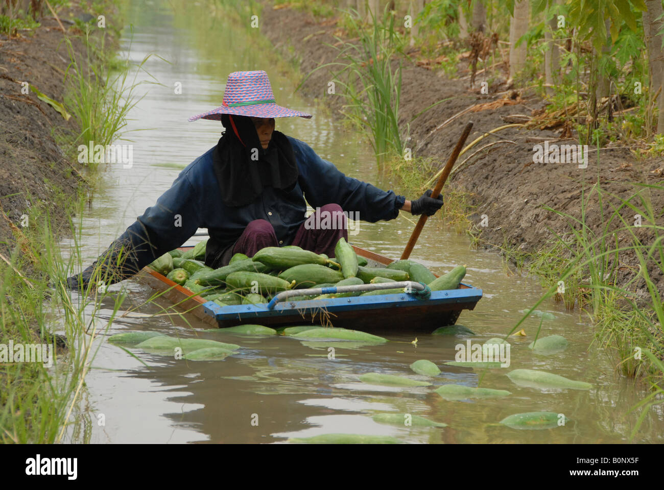 Bauer ist Ruderboot zu holen, Papaya, Samut Sakhon, thailand Stockfoto