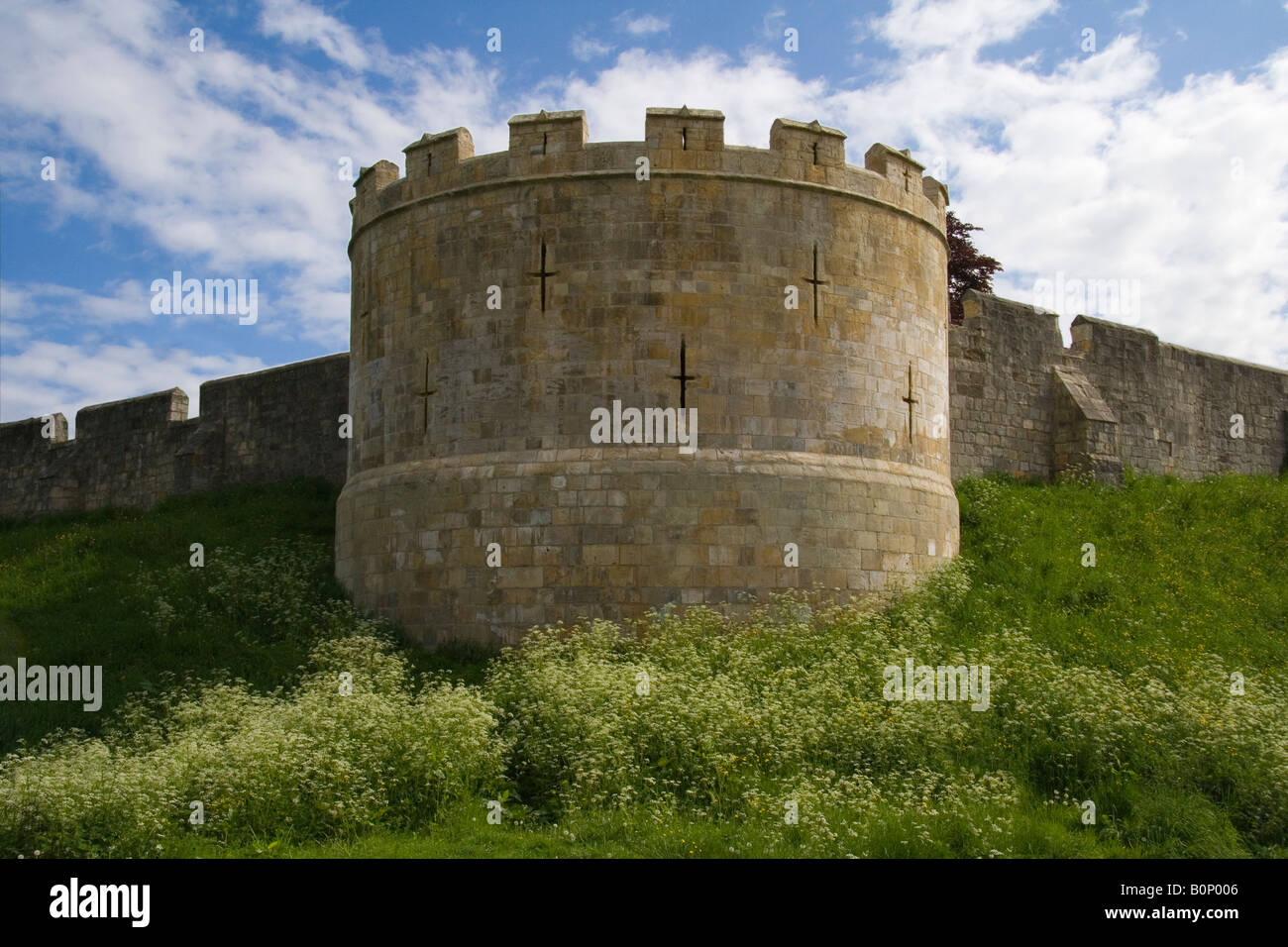 York Stadtmauern im Frühjahr zeigen die Zinnen unter blauem Himmel (North Yorkshire, England) Stockfoto