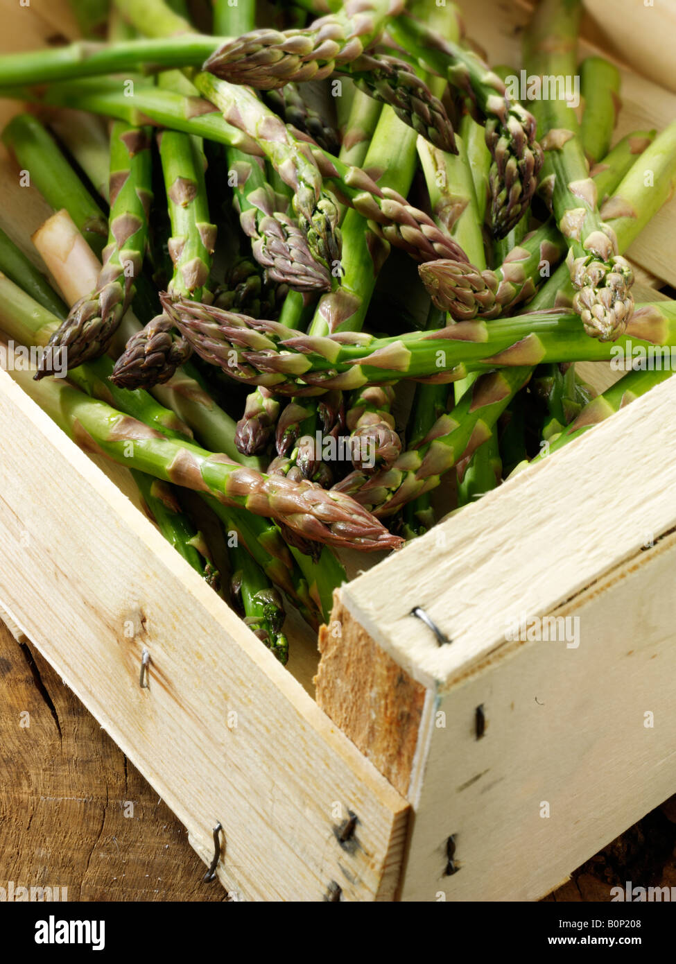 Frischer Spargel-box Stockfoto