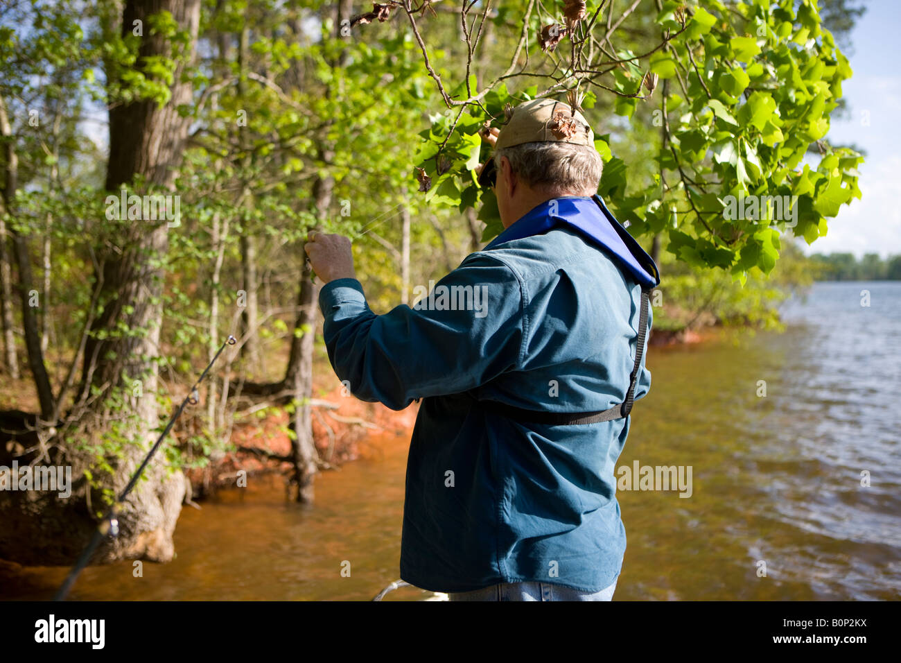 Ein erwachsener Mann hakt seinen Köder, der in einem Baum beim Angeln am Ufer des Sees Greenwood Stading auf einem Bass Boot gefangen wurde Stockfoto