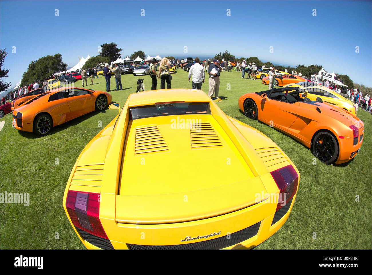 Dieser Fisch-Auge Ansicht präsentiert Lamborghini gruppieren sich um einen Golfplatz am Concorso Italiano Stockfoto