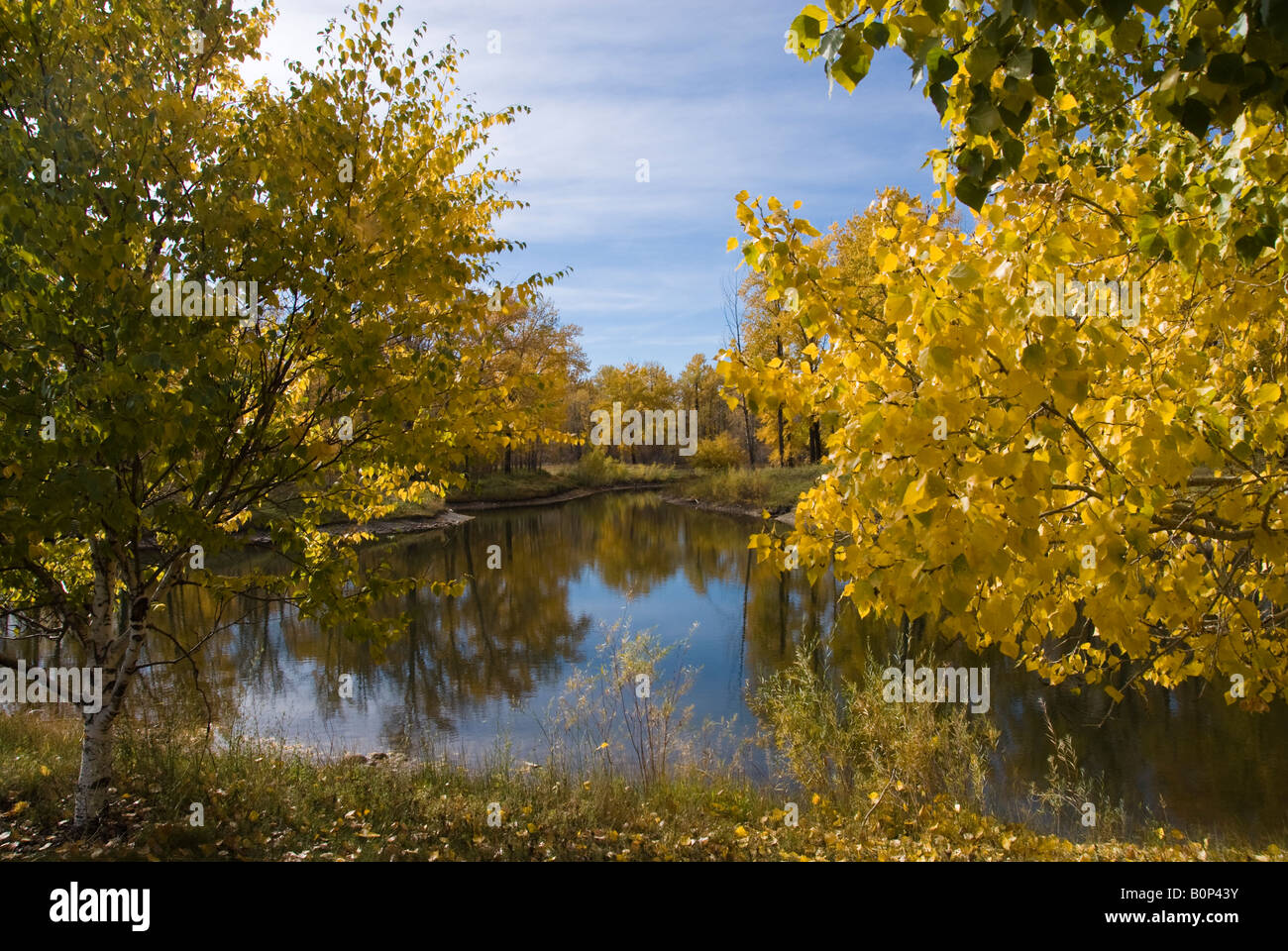 Carburn Park, Calgary Stockfoto