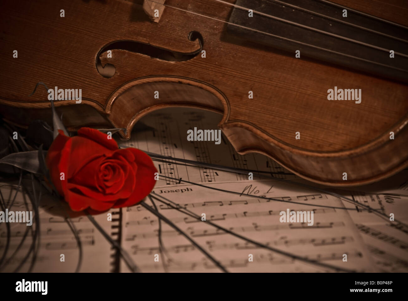 Violine Musikinstrument mit einer rose Stockfoto