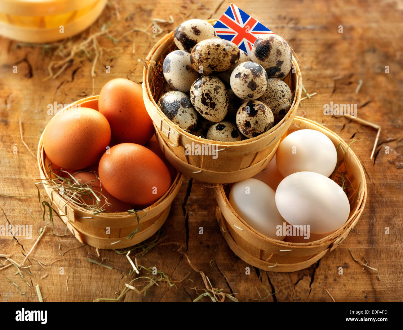 Freilandeier britische Wachtel, Ente und Huhn Stockfoto