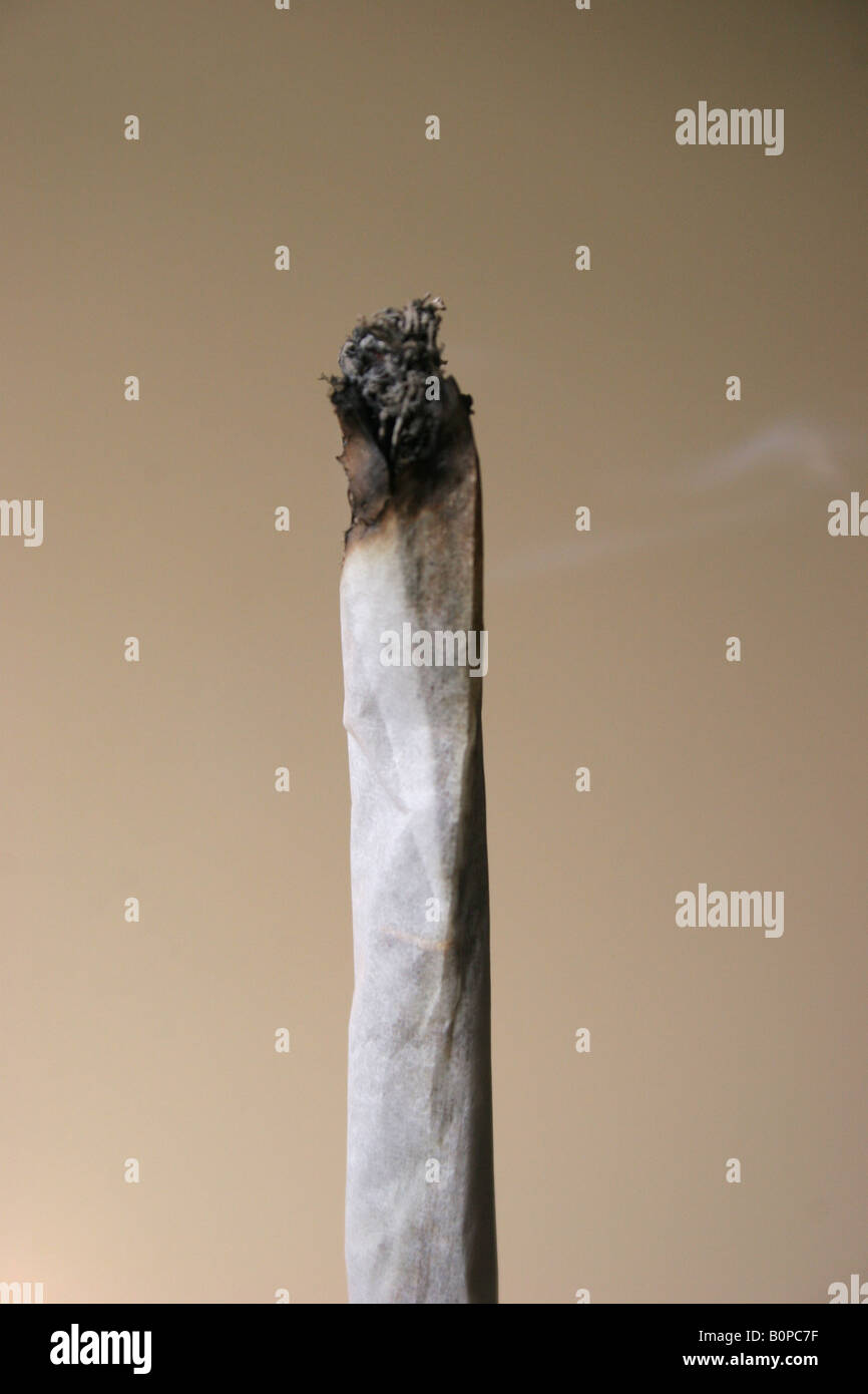 Ein Cannabis Spliff Zigarette oder ein Gelenk, Amsterdam, Holland, Niederlande. Stockfoto
