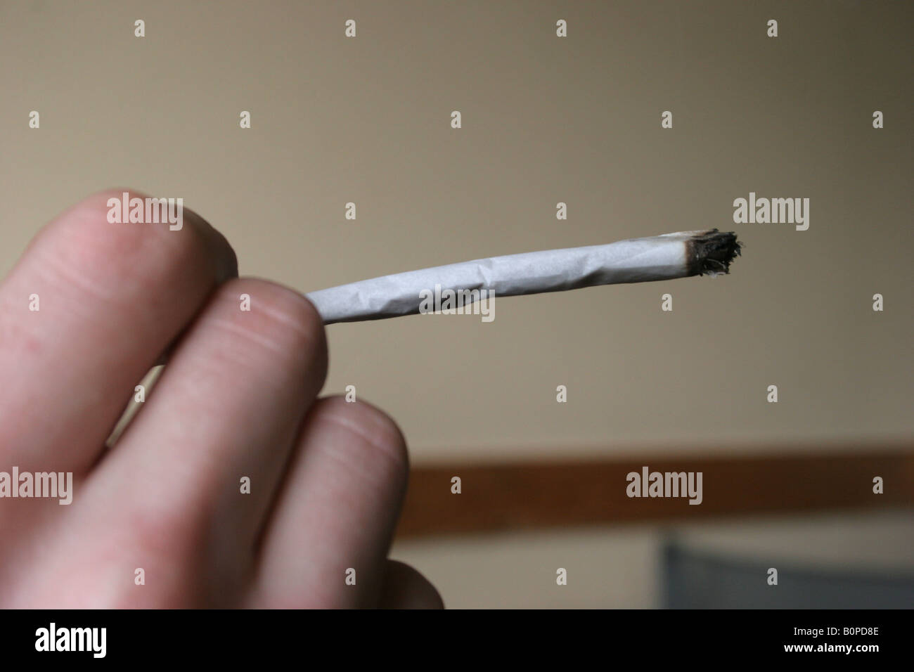 Ein Cannabis Spliff Zigarette oder Joint geraucht, Amsterdam, Holland, Niederlande. Stockfoto