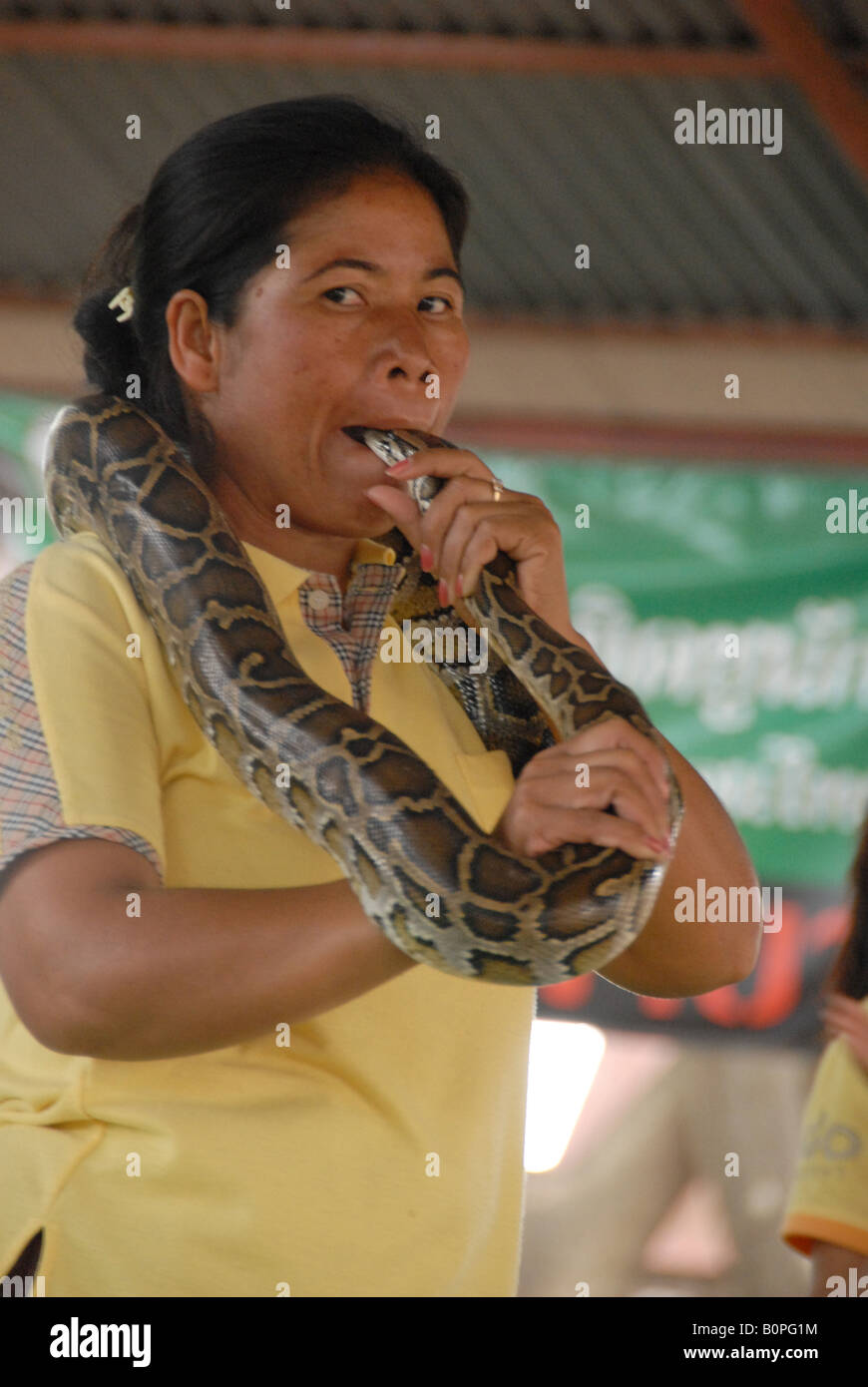 Thai Nordost Lady mit Snake Schlange Dorf Show, Schlange zeigen Nord-Ost-thailand Stockfoto