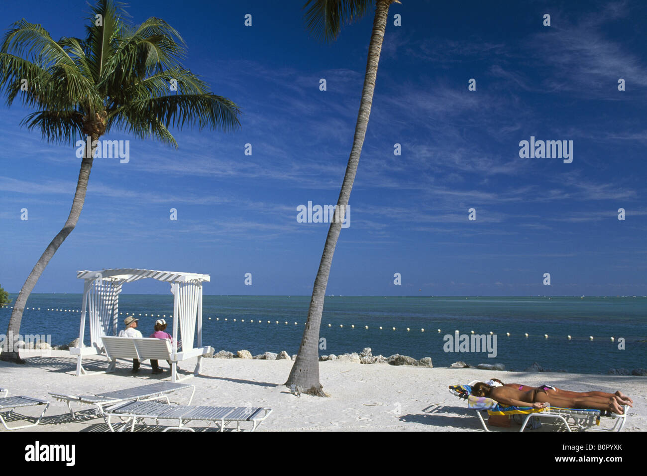 Garten Cove Key Largo Florida Keys Florida USA Stockfoto