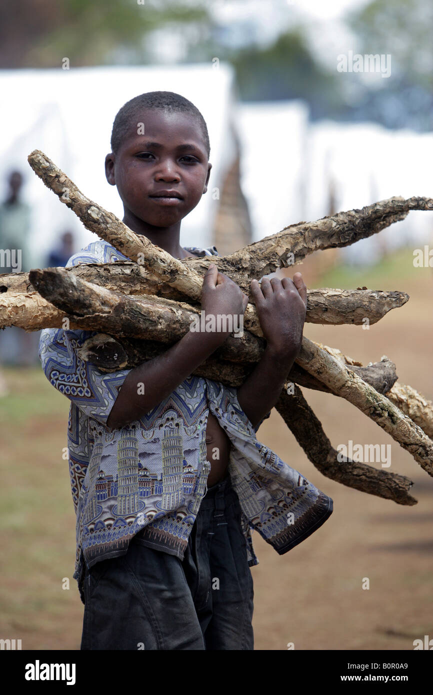 Kenianischen Flüchtlingslager junge mit Brennholz (Vertriebene = IDPs) im Flüchtlingslager BURNT Wald, Eldoret Stockfoto