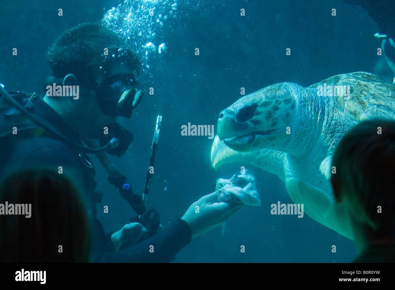 Aquarium Stockfoto