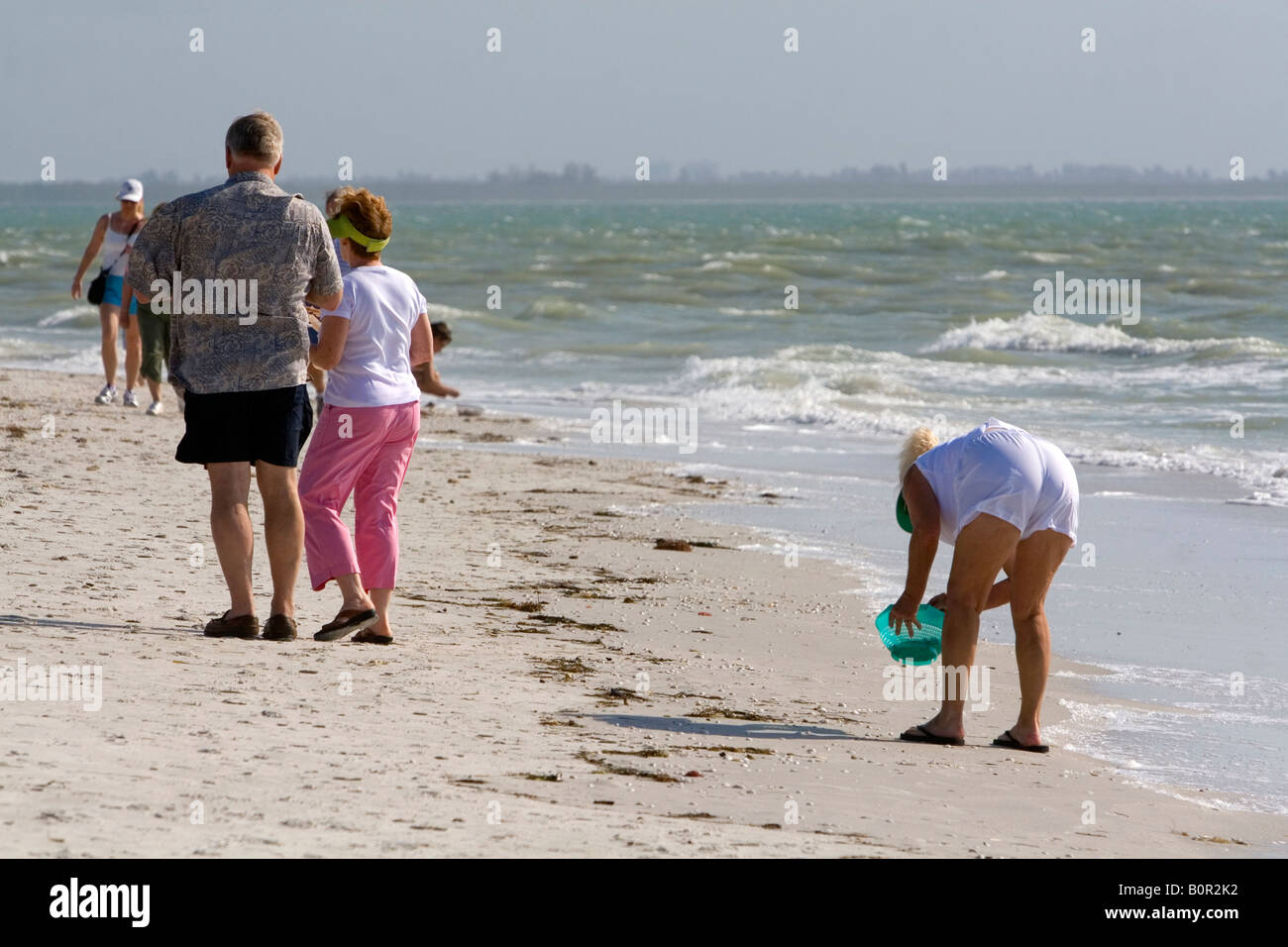Strandläufer, die auf der Suche nach Muscheln am Strand von Sanibel Isalnd an der Golfküste von Florida Stockfoto