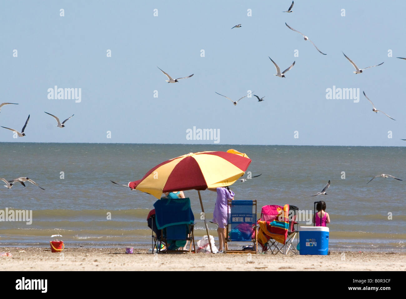 Galveston Strand am Golf von Mexiko in Galveston Texas Stockfoto