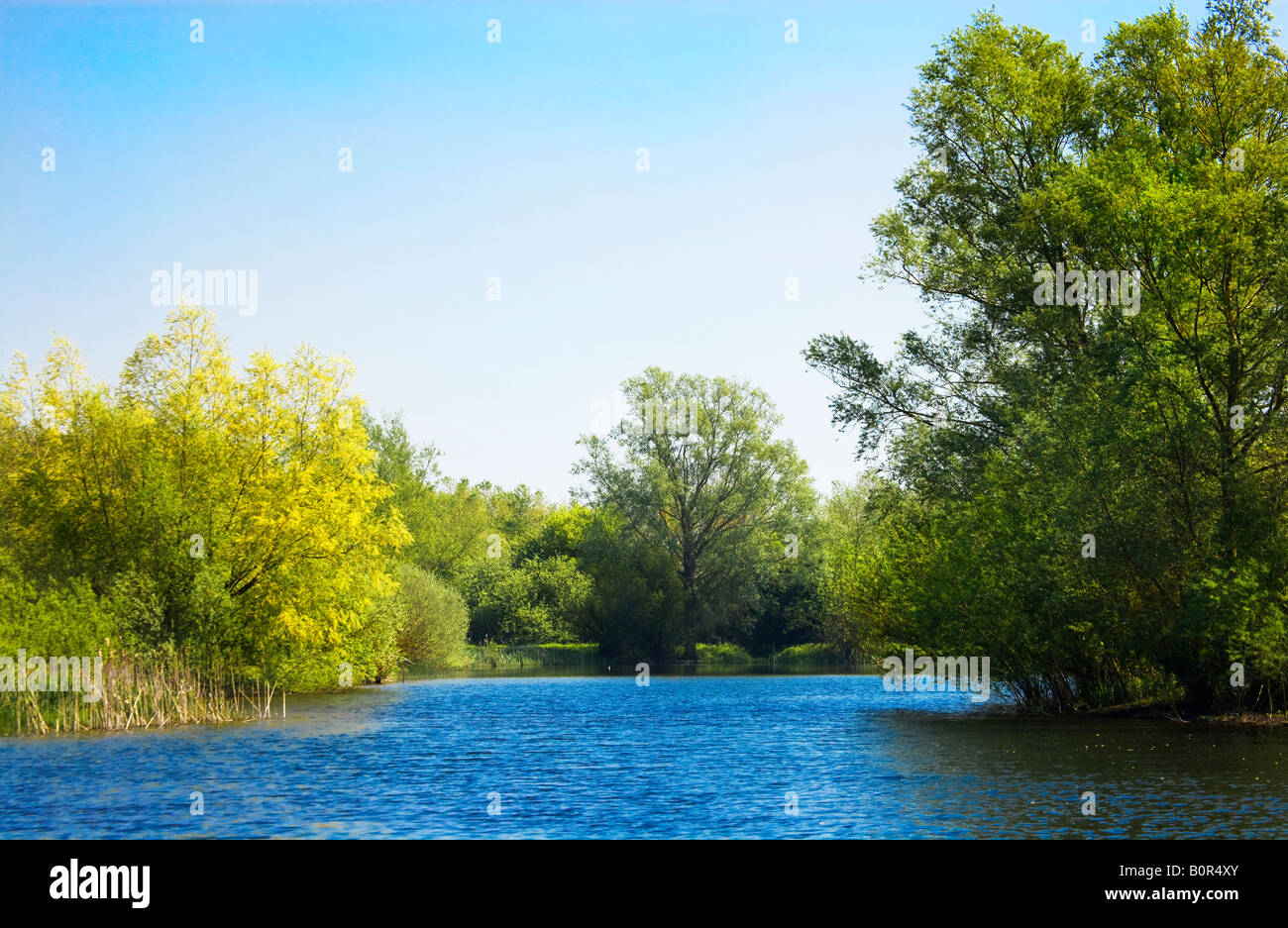 Manor Brook Lake, Cotswold Water Park, Wiltshire, England, UK Stockfoto