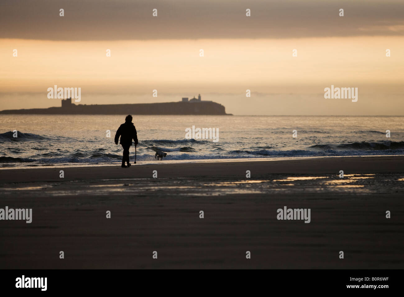 Frau, die ihrem Hund am Strand im Morgengrauen vor dem Hintergrund der Farne Islands, Bamburgh, Northumberland, England, UK Stockfoto