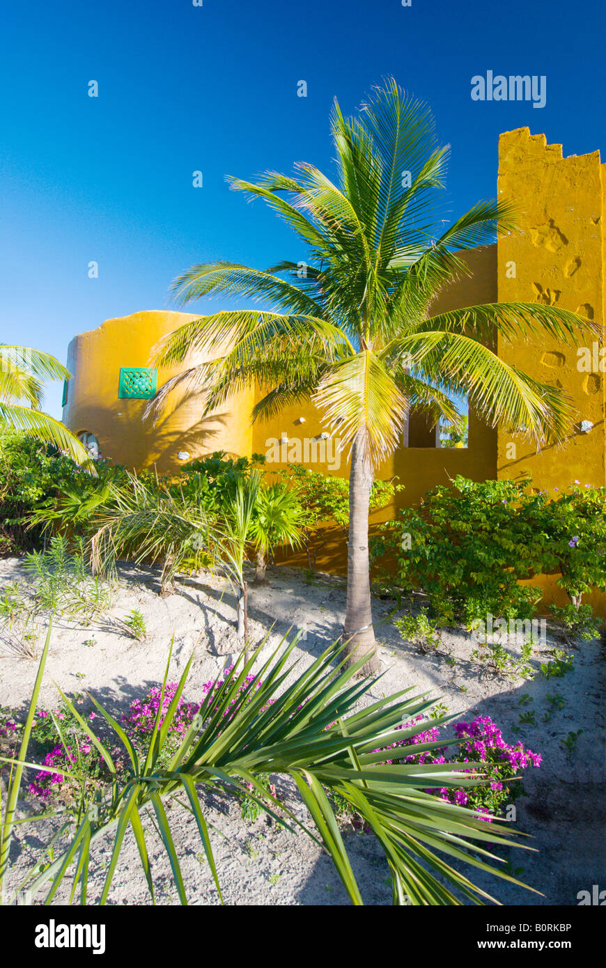Tropischer Vegetation auf den Bahamas Half Moon Cay Welcome Center Stockfoto