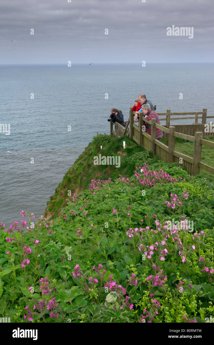 Public-Viewing Eckpunkt Jubiläum bei RSPB Bempton Cliffs reserve Stockfoto