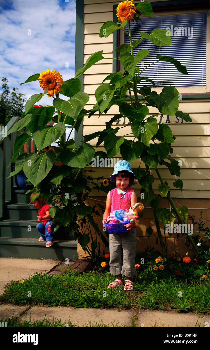 Kind Mädchen junge & Riesen Sonnenblume, Alberta, Kanada Stockfoto