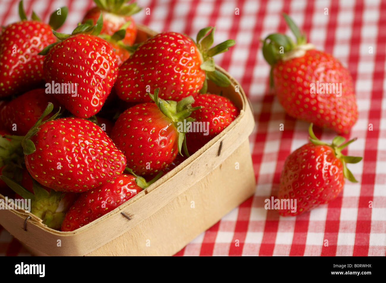 Körbchen frische Erdbeeren auf karierte Tischdecke Stockfoto