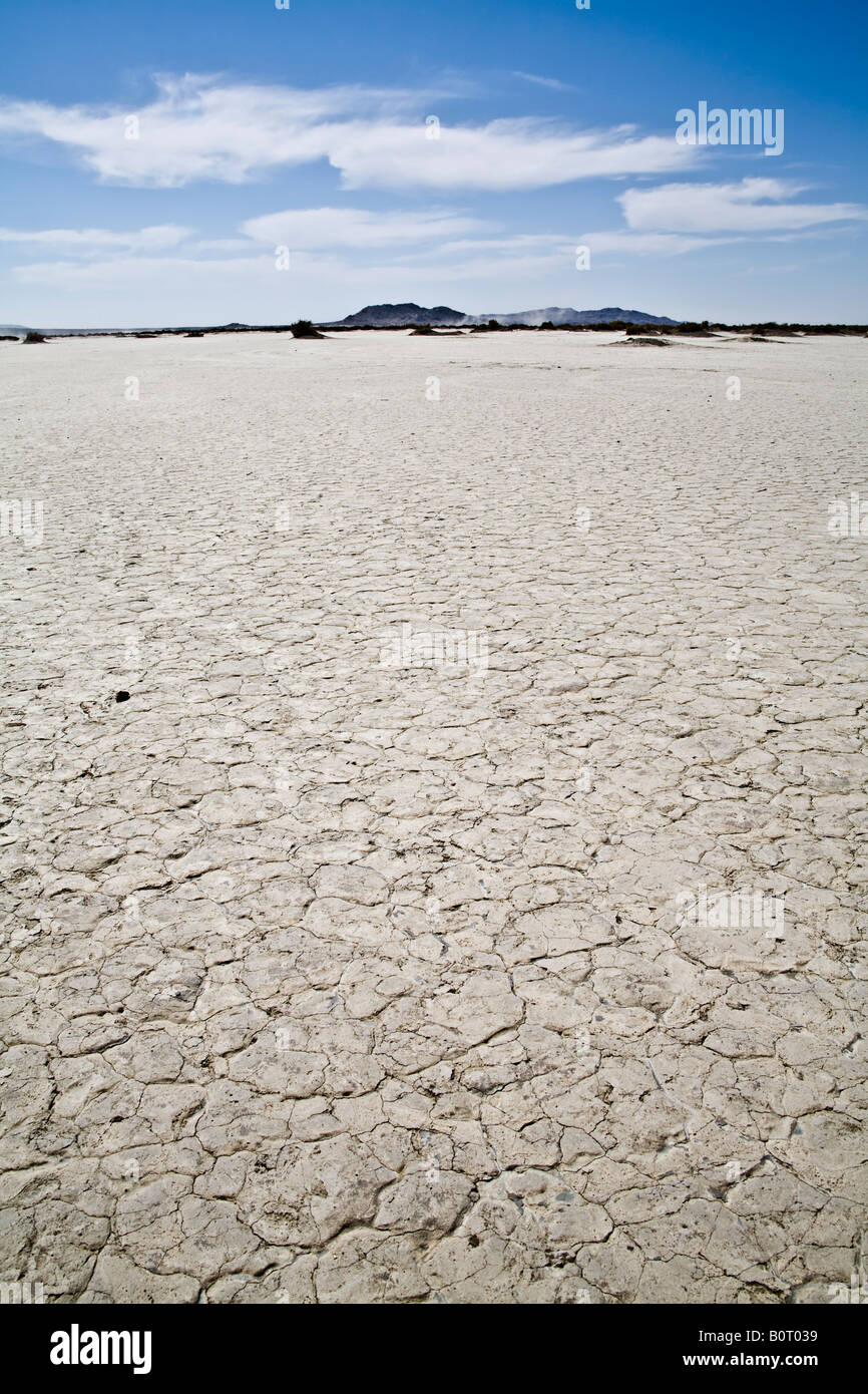 El Mirage Dry Lake Bett, Wüste mit Bergen in der Ferne und einem klaren blauen Himmel. Stockfoto