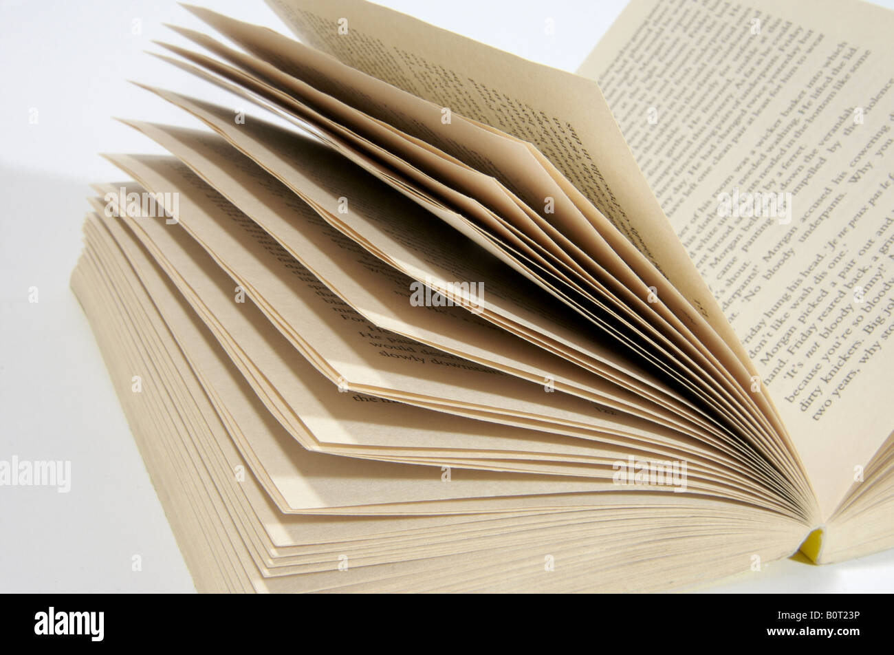 Seiten eines aufgeschlagenen Buches Taschenbuch Stockfoto