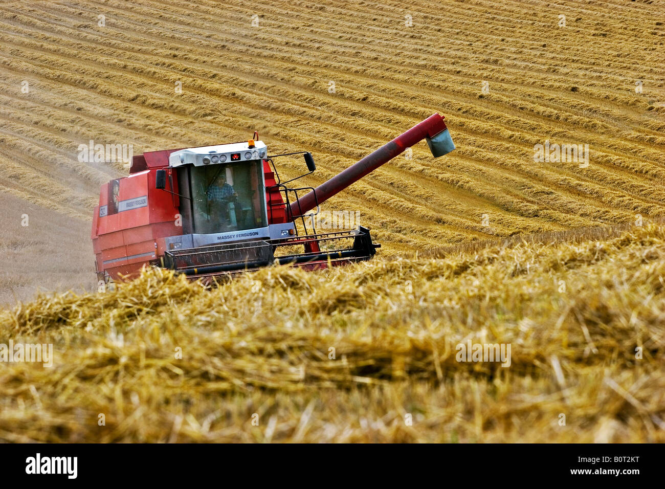 Bei der Weizenernte in den chilterns England Großbritannien Stockfoto