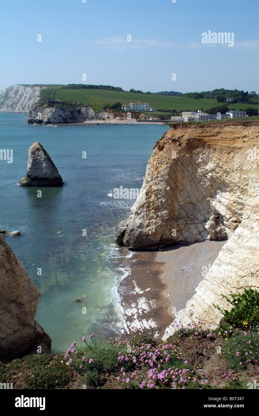 Kreidefelsen in Freshwater Bay befindet sich im Süden der Insel Isle Of Wight England UK Ebbe Stockfoto