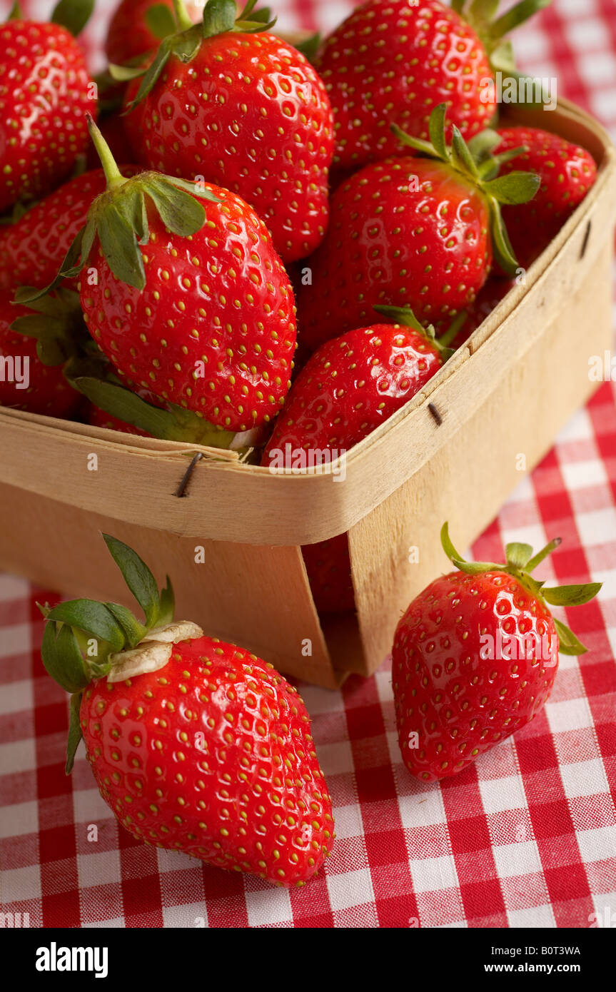 Körbchen frische Erdbeeren auf karierte Tischdecke Stockfoto