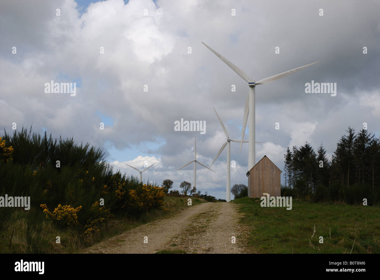 vier Windmachines in einem Windpark in der Nähe von Guerledan See in Bretagne-Bretagne-Frankreich Stockfoto