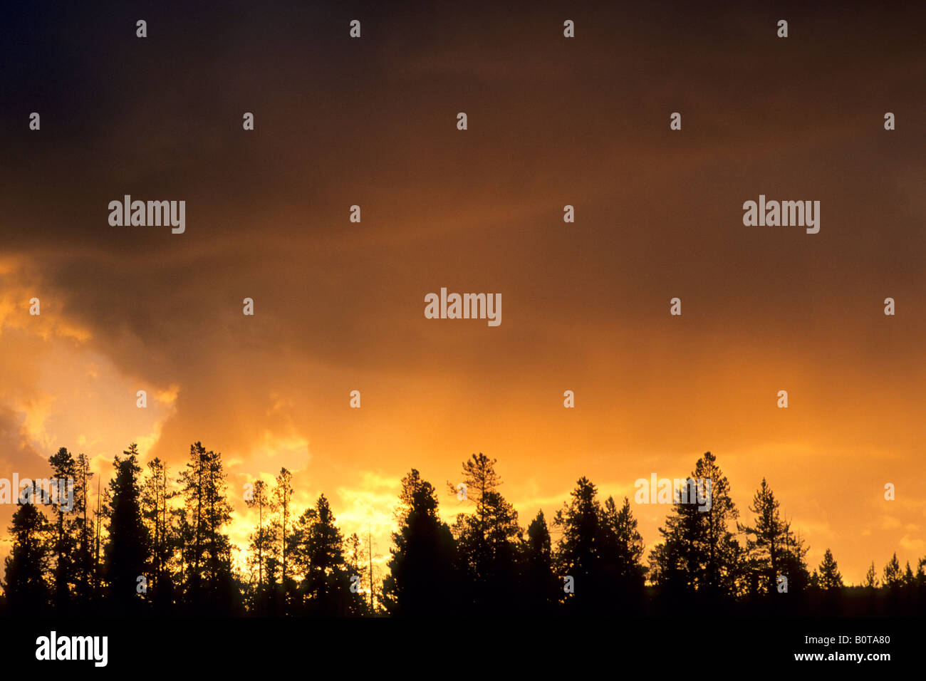 Stürmischer Sonnenaufgang über dem Grand Teton und Snake River Grand Teton Nat l Pk WYOMING Stockfoto