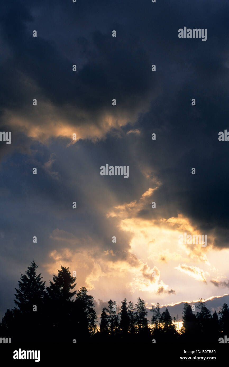 Sonnenstrahlen bei Sonnenaufgang durch Loch in dunkle Gewitterwolken über Bäume Grand-Teton-Nationalpark, WYOMING Stockfoto
